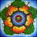 Power of Nature Acryl auf Leinwand;
70 x 70 cm